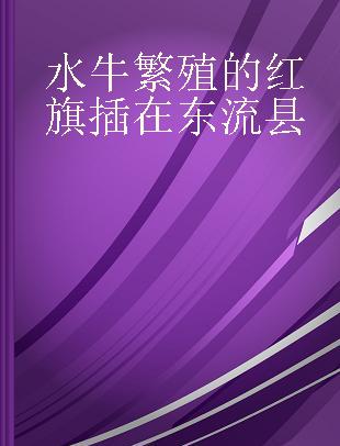 水牛繁殖的红旗插在东流县