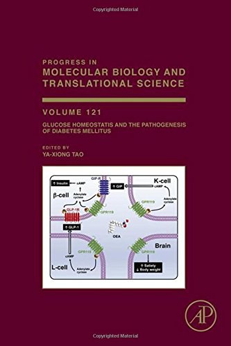 Glucose homeostatis and the pathogenesis of diabetes mellitus /