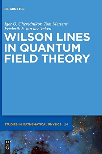 Wilson lines in quantum field theory /