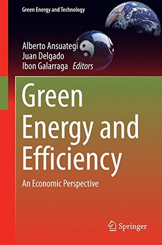 Green energy and efficiency : an economic perspective /