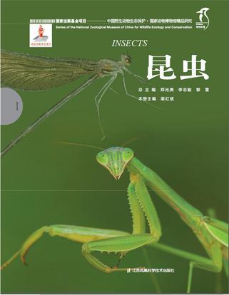 中国野生动物生态保护·国家动物博物馆精品研究 昆虫 Insects