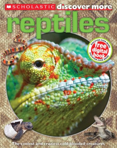 Reptiles /