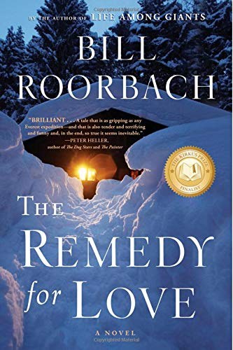 The remedy for love : a novel /