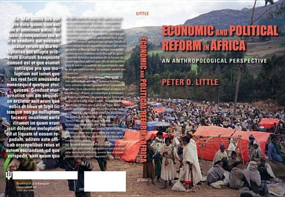 Economic and political reform in Africa : anthropological perspectives /