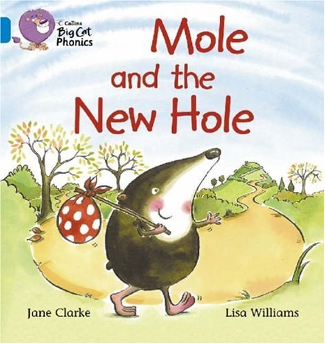 Mole and the new hole /