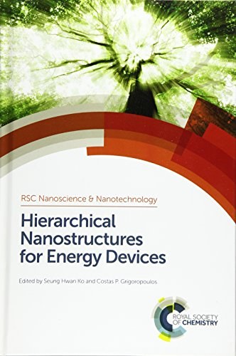Hierarchical nanostructures for energy devices /