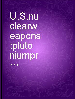 U.S. nuclear weapons : plutonium production options and research needs /