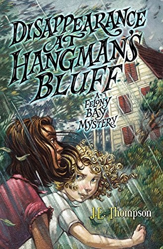 Disappearance at Hangman's Bluff : a Felony Bay mystery /