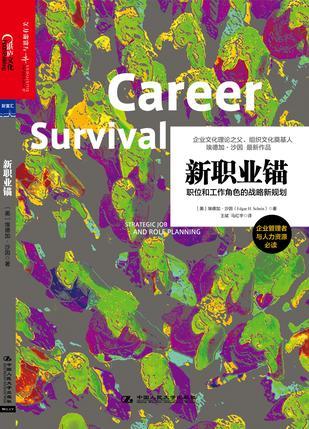 新职业锚 职位和工作角色的战略新规则 strategic job and role planning