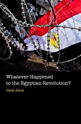 Whatever happened to the Egyptian revolution? /