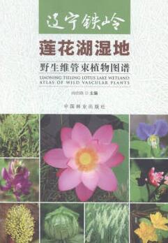 辽宁铁岭莲花湖湿地野生维管束植物图谱