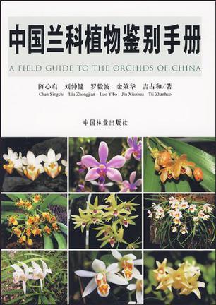 中国兰科植物鉴别手册