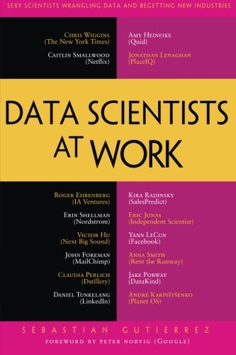 Data scientists at work /