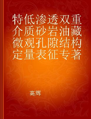 特低渗透双重介质砂岩油藏微观孔隙结构定量表征