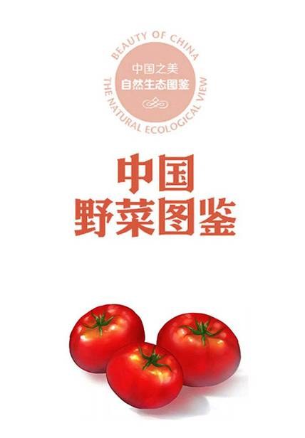 中国野菜图鉴