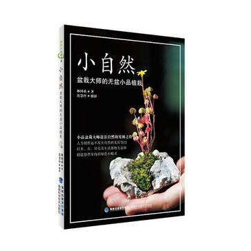 小自然 盆栽大师的无盆小品植栽