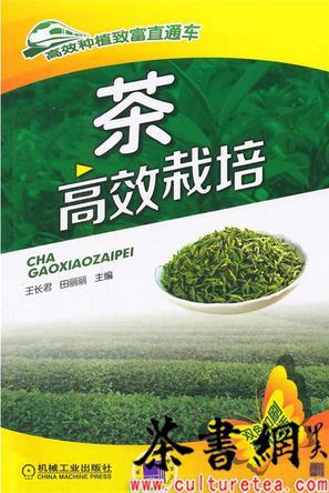 茶高效栽培