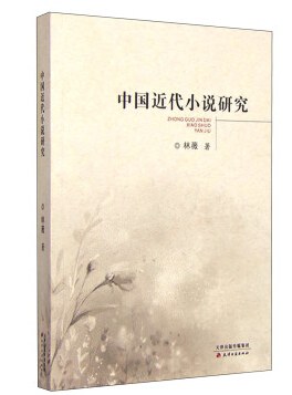 中国近代小说研究