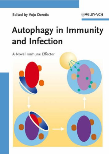 Autophagy in immunity and infection a novel immune effector /