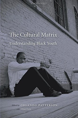 The cultural matrix : understanding Black youth /