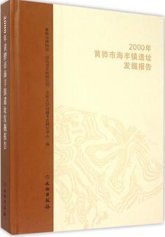 2000年黄骅市海丰镇遗址发掘报告