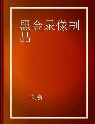 黑金 二十集电视连续剧