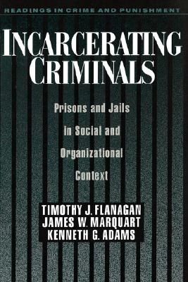 Incarcerating criminals : prisons and jails in social and organizational context /