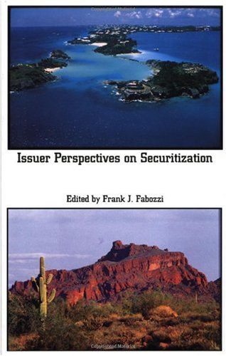 Issuer perspectives on securitization /