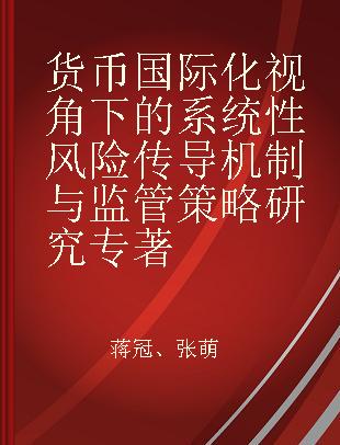 货币国际化视角下的系统性风险传导机制与监管策略研究