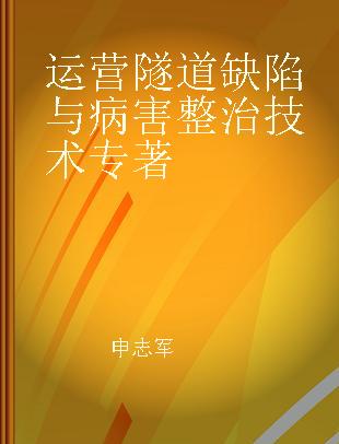 运营隧道缺陷与病害整治技术