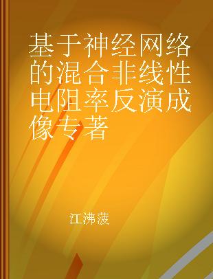 基于神经网络的混合非线性电阻率反演成像