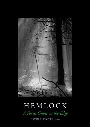 Hemlock : a forest giant on the edge /