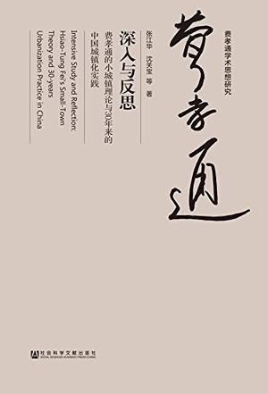 深入与反思 费孝通的小城镇理论与30年来的中国城镇化实践 Hsiao-tung Fei's small-town theory and 30-years urbanization practice in China