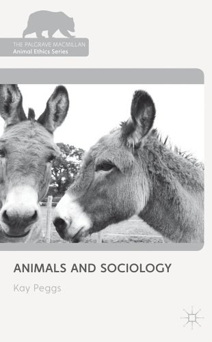 Animals and sociology