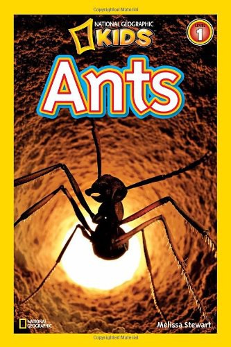 Ants /