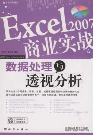 Excel 2007商业实战 数据处理与透视分析