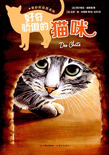 好奇骄傲的猫咪