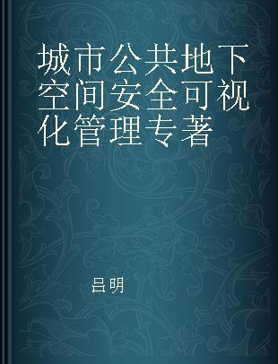 城市公共地下空间安全可视化管理