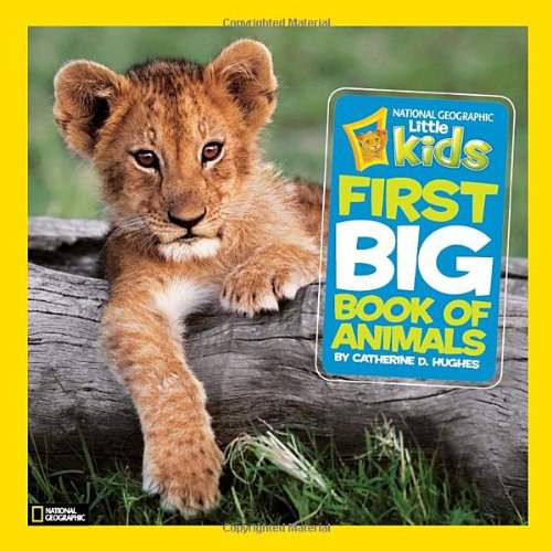 First big book of animals /