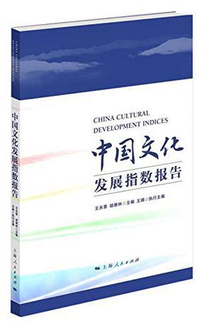 中国文化发展指数报告