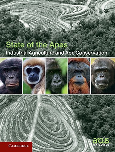 Industrial agriculture and ape conservation /