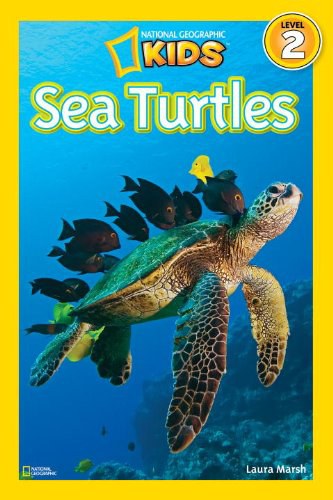 Sea turtles /