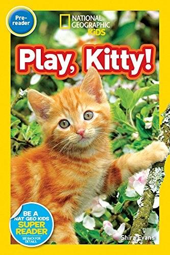 Play, kitty! /