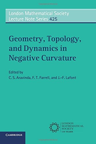 Geometry, topology, and dynamics in negative curvature /