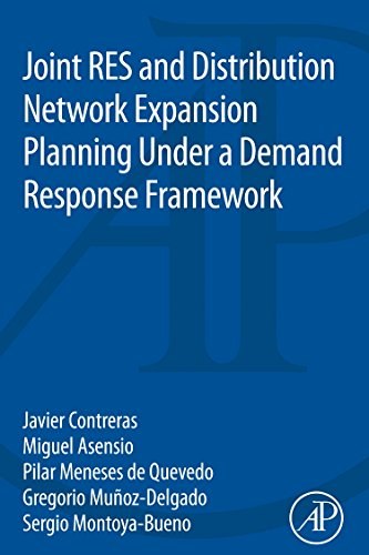 Joint RES and distribution network expansion planning under a demand response framework /