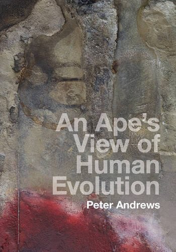 An ape's view of human evolution /