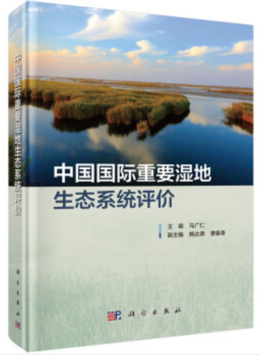 中国国际重要湿地生态系统评价