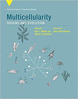 Multicellularity : origins and evolution /