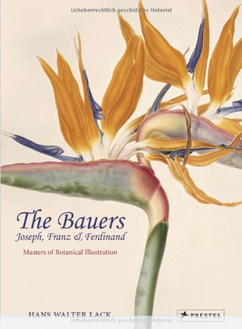 The Bauers : Joseph, Franz & Ferdinand : masters of botanical illustration : an illustrated biography /