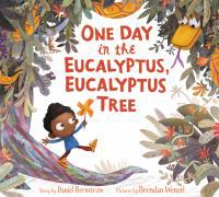 One day in the eucalyptus, eucalyptus tree /